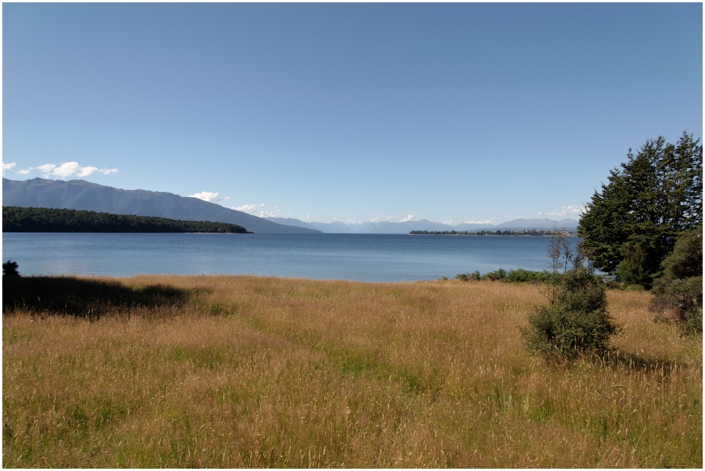 06 -Te Anau (03) - Te Anau Lake.jpg